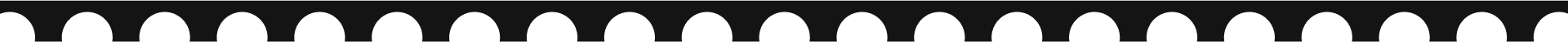 Section Divider